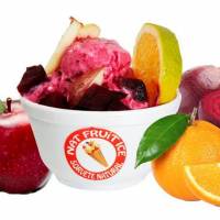 Título da Notícia 127: Franquia vende sorvete preparado na frente do cliente em 30 segundos.... Nat Fruit Ice foi um dos expositores na Feira do Empreendedor - Encontre franquia ou franquias entre as melhores franquias de sucesso no top franquia, para comprar franquia e abrir sua franquia.